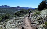 photo thumbnail #8