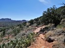 photo thumbnail #7
