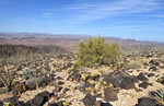 photo thumbnail #3