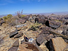 photo thumbnail #11
