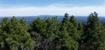 2018-04-11 :3: Woody Mountain L.O. Bike