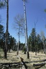 photo thumbnail #13