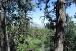 photo thumbnail #14