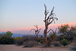 photo thumbnail #4