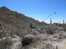 photo thumbnail #7