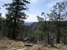 photo thumbnail #6