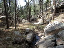 photo thumbnail #9