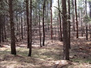 photo thumbnail #11