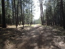 photo thumbnail #12