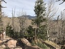photo thumbnail #3