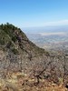 photo thumbnail #8