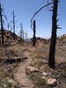 photo thumbnail #10