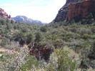 photo thumbnail #7