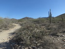 photo thumbnail #5