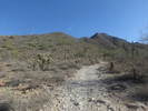 photo thumbnail #6