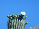 photo thumbnail #8