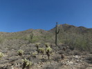 photo thumbnail #9