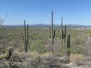 photo thumbnail #10