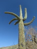 photo thumbnail #13