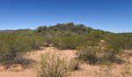 photo thumbnail #3