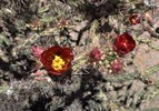 photo thumbnail #7