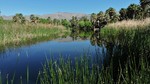 2018-04-15 :2: Agua Caliente Regional Park :: azbackpackr