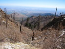 photo thumbnail #5