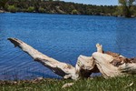 photo thumbnail #8