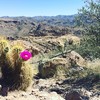 photo thumbnail #4