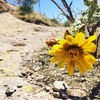 photo thumbnail #8