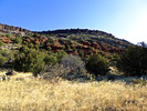 photo thumbnail #4