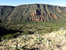 photo thumbnail #6