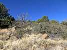 photo thumbnail #11