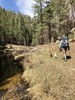 photo thumbnail #3