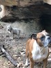 photo thumbnail #4