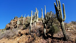 photo thumbnail #3