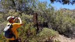photo thumbnail #7