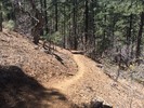 photo thumbnail #3