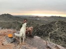 photo thumbnail #1