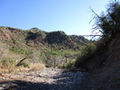 photo thumbnail #1