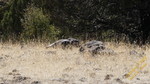photo thumbnail #13