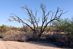 photo thumbnail #5