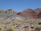 photo thumbnail #13