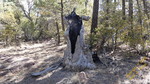 photo thumbnail #6