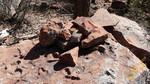 photo thumbnail #4