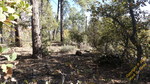 photo thumbnail #14