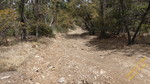 photo thumbnail #10