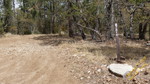 photo thumbnail #11