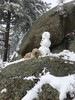 photo thumbnail #7