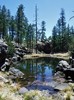 photo thumbnail #5